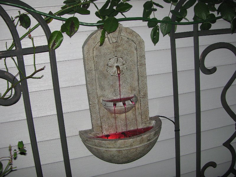 IMG_3409.JPG - Vampire watering hole?