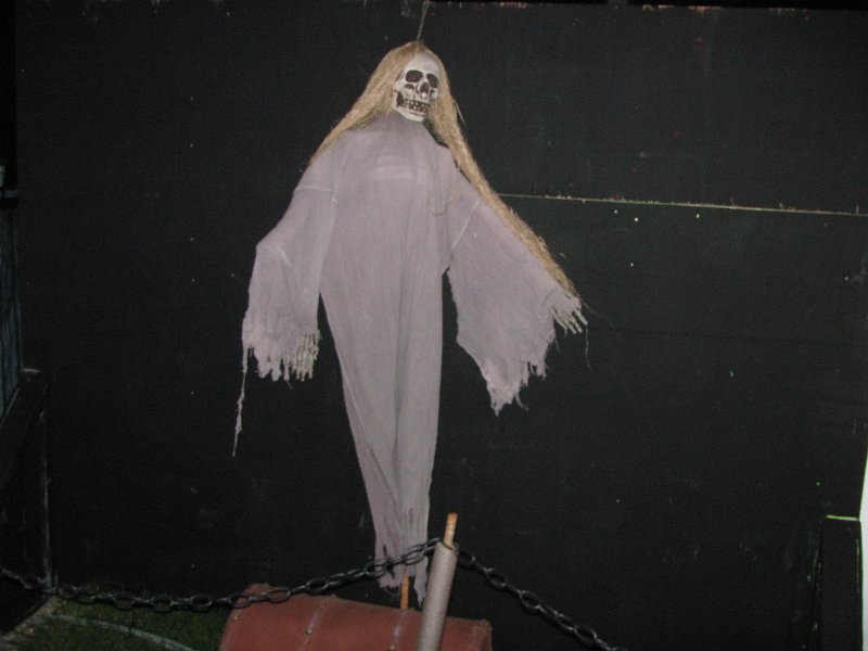 IMG_3428.JPG - Mostly dead?