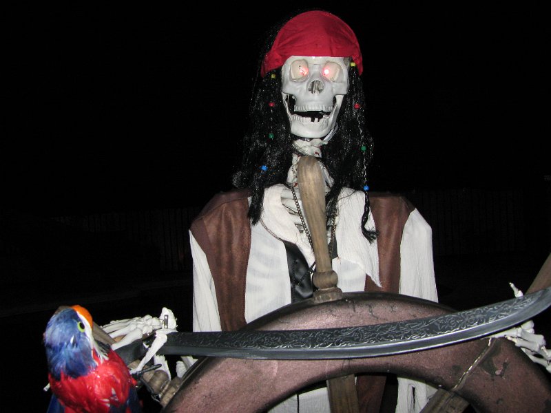 IMG_3441.JPG - Pirate captain at the helm