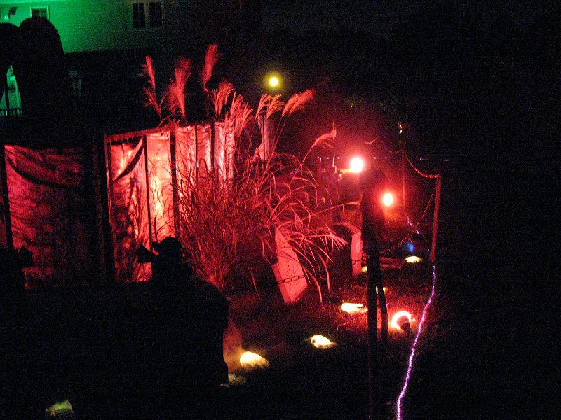 IMG_3458.JPG - Graveyard