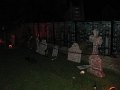 IMG_3451